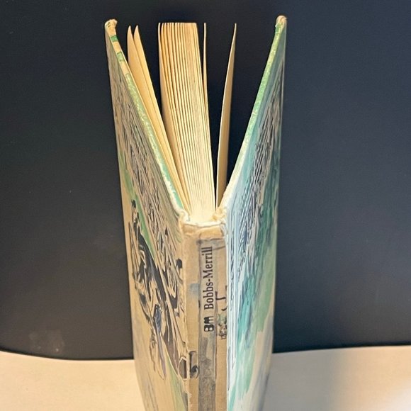 A Look of Eagles By Barbara Berry Bobbs-Merrill Company 1973 - Picture 7 of 8